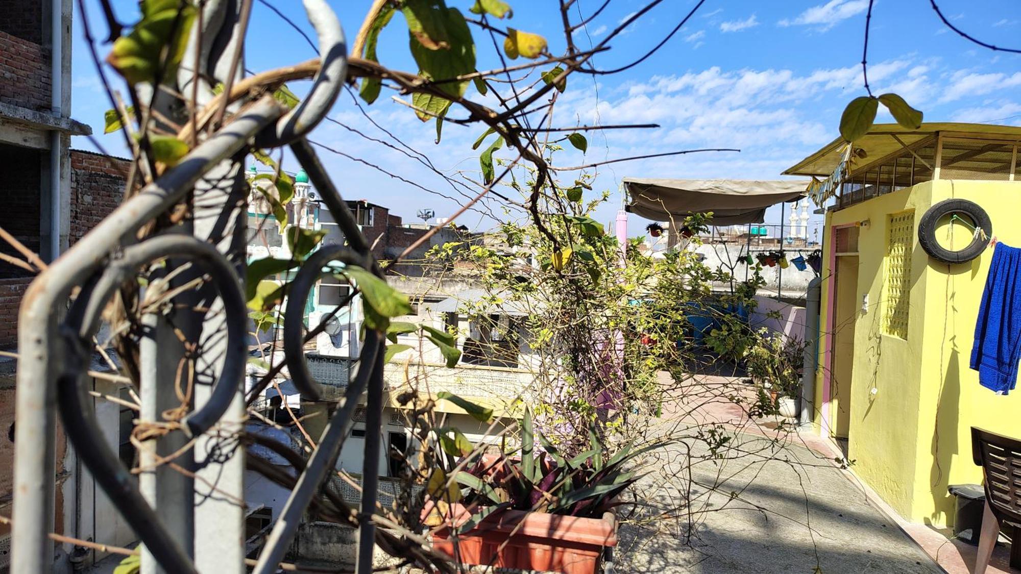 Ali Baba Hostel ジャイプール エクステリア 写真