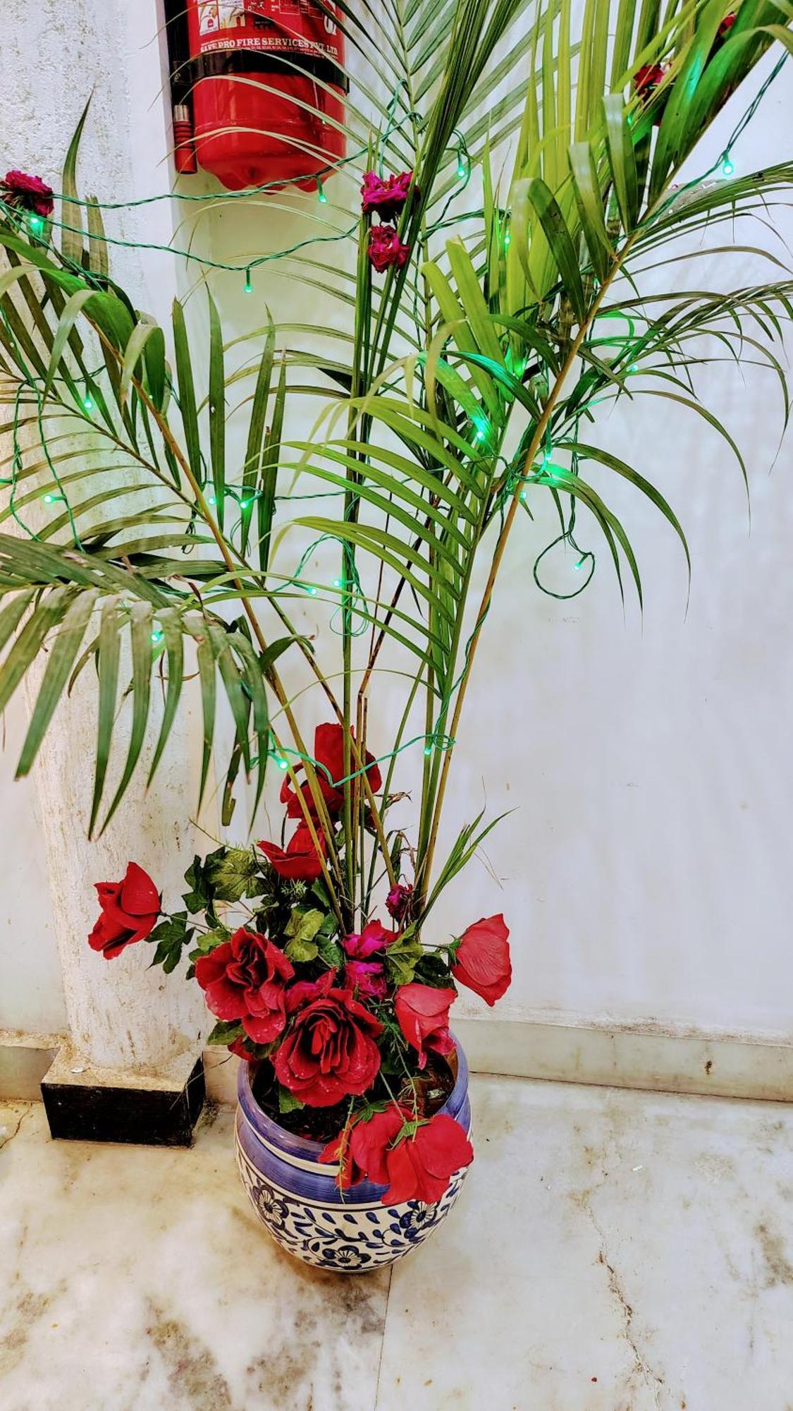 Ali Baba Hostel ジャイプール エクステリア 写真